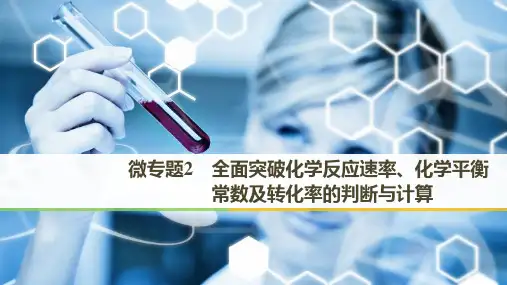 微专题2  全面突破化学反应速率、化学平衡常数及转化率的判断与计算