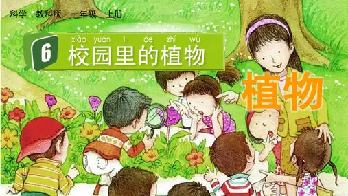 最新教科版小学科学一年级上册《校园里的植物》优质教学课件
