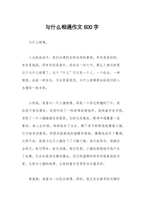 与什么相遇作文600字