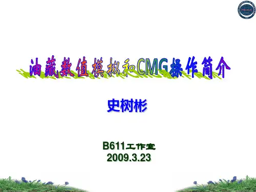 油藏数值模拟与CMG操作简介