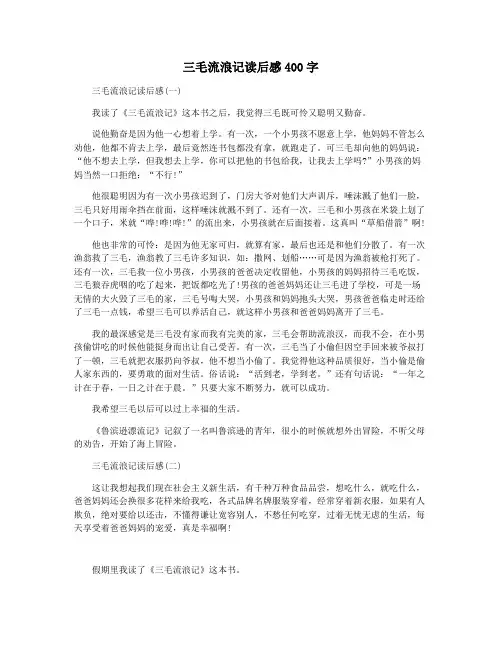 三毛流浪记读后感400字