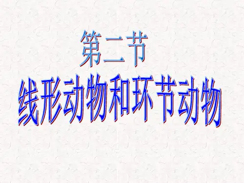 二、线形动物和环节动物