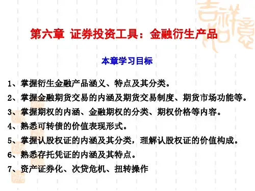 第06章 衍生金融工具PPT精品文档93页