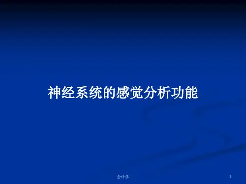 神经系统的感觉分析功能PPT教案
