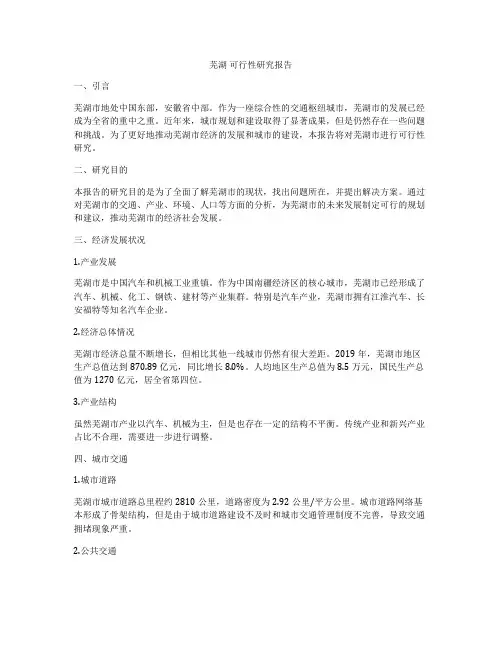 芜湖 可行性研究报告