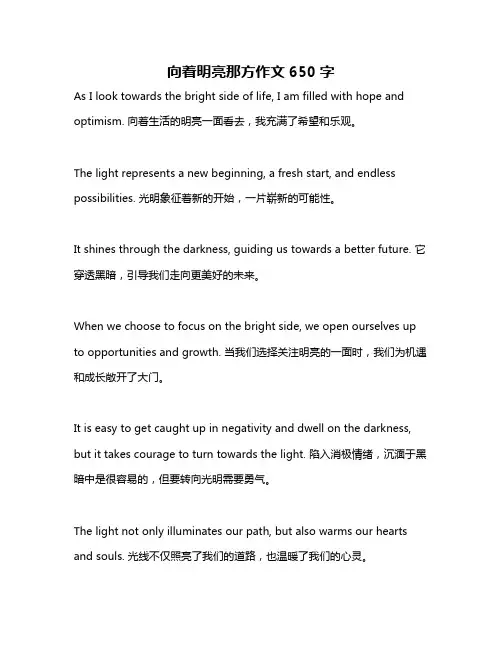 向着明亮那方作文650字