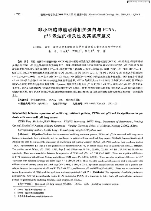 非小细胞肺癌耐药相关蛋白与PCNA、p53表达的相关性及其临床意义