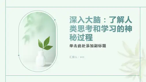 深入大脑：了解人类思考和学习的神秘过程