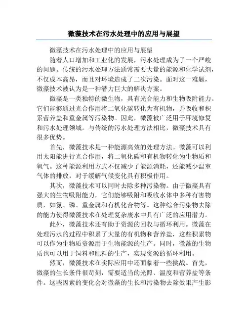 微藻技术在污水处理中的应用与展望