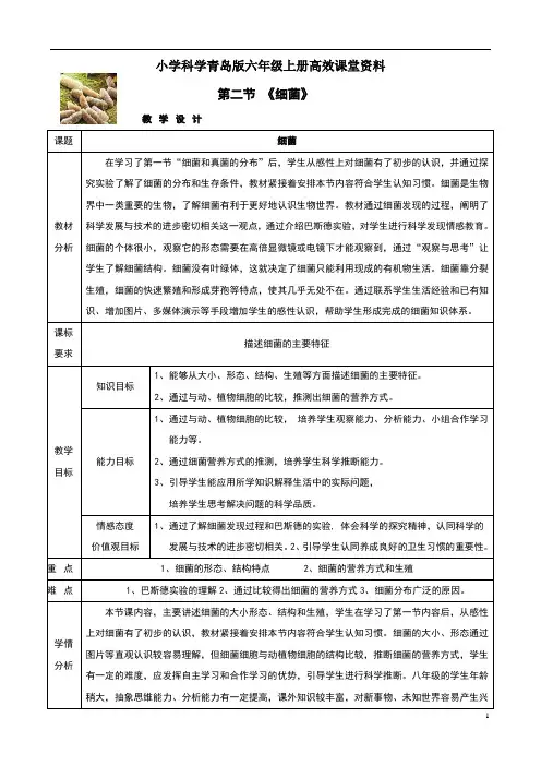小学科学青岛版六年级上册高效课堂资料《细菌》教案1 (1)