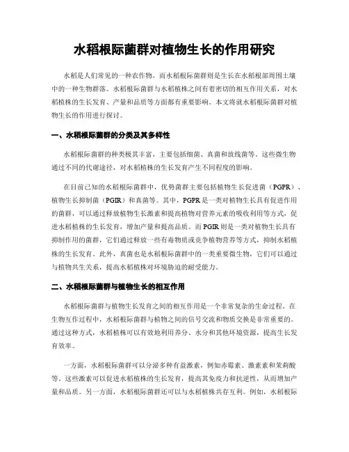 水稻根际菌群对植物生长的作用研究