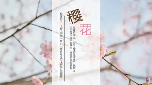 小清新樱花通用模板