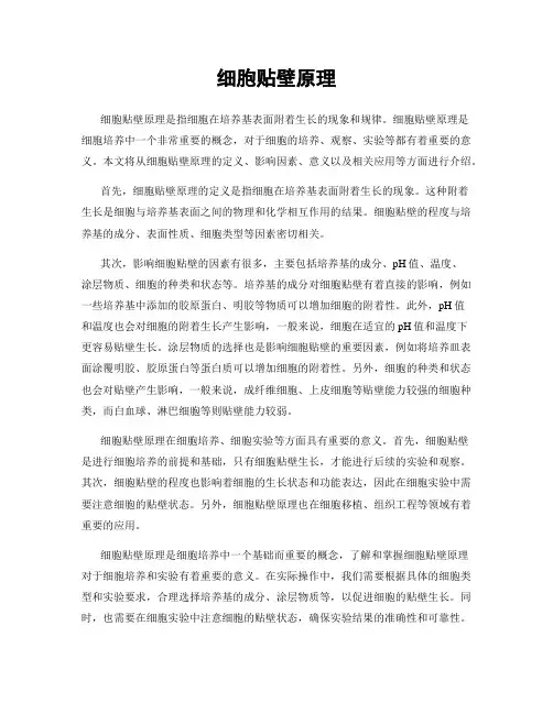 细胞贴壁原理