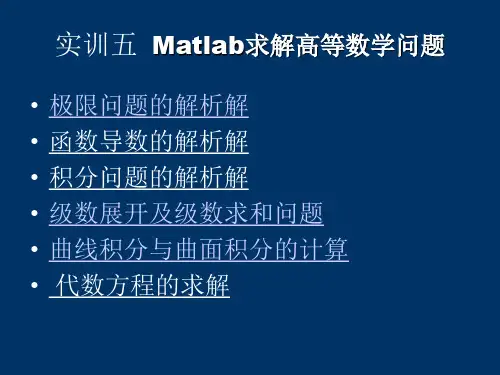 Matlab实训7-求解高数问题