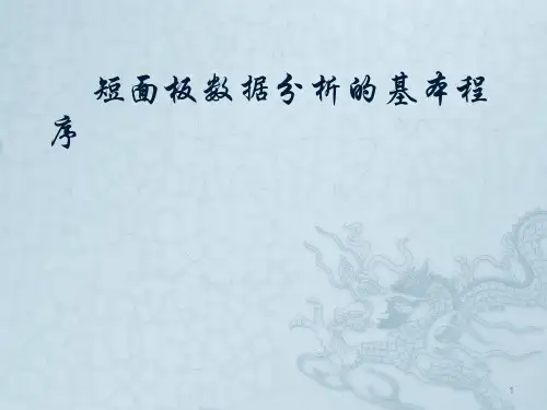 短面板数据分析的基本程序ppt课件