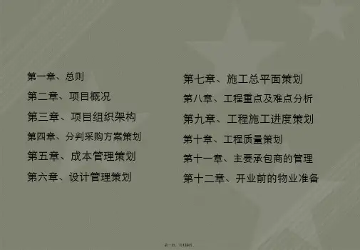 沈阳华润中心项目项目管理策划书