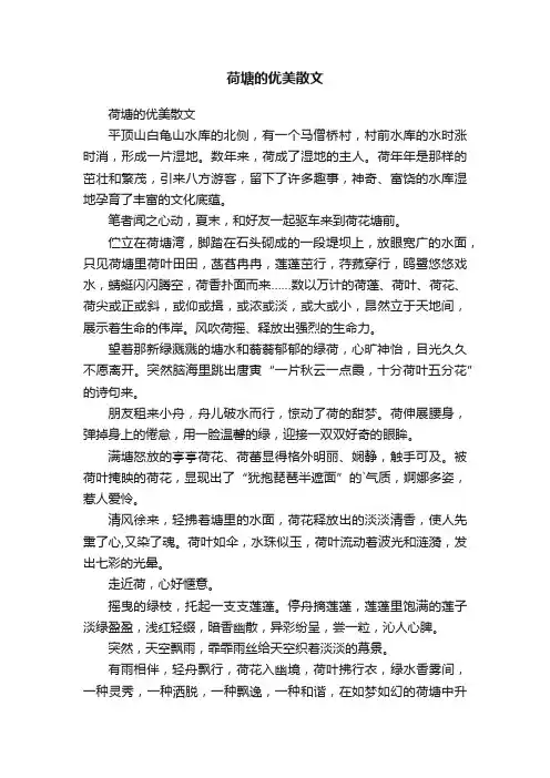 荷塘的优美散文