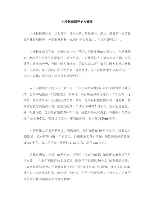 七叶树苗期养护与管理
