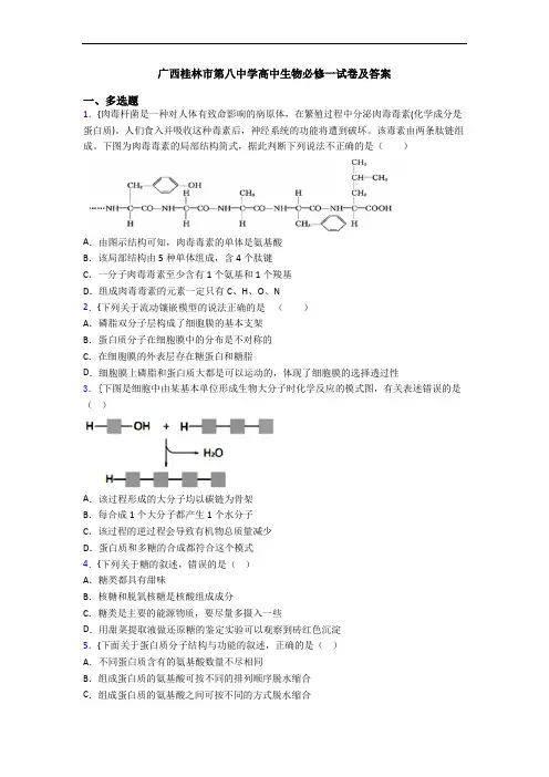 广西桂林市第八中学高中生物必修一试卷及答案