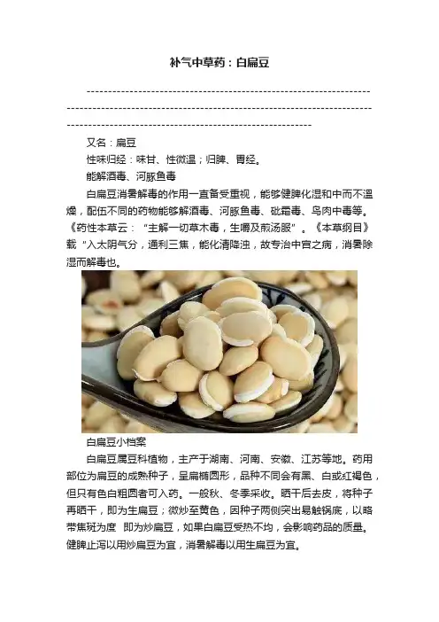 补气中草药：白扁豆