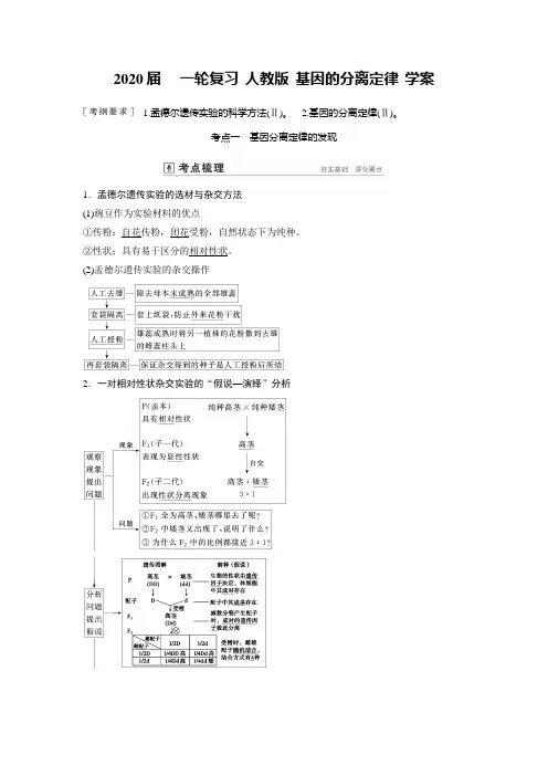 2020届   一轮复习 人教版 基因的分离定律   学案.doc