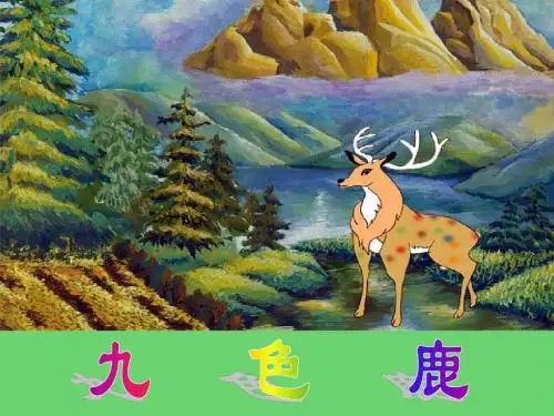苏教版四年级上册语文《九色鹿》公开课课件PPT