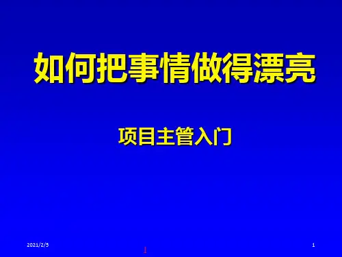 项目主管入门-如何把事情做漂亮,