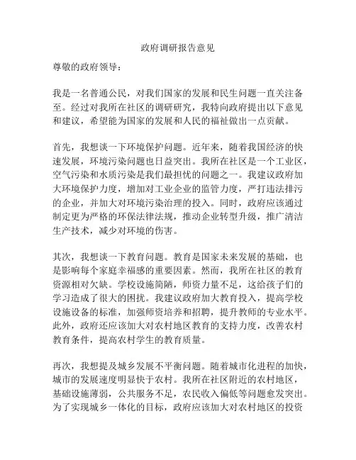 政府调研报告意见
