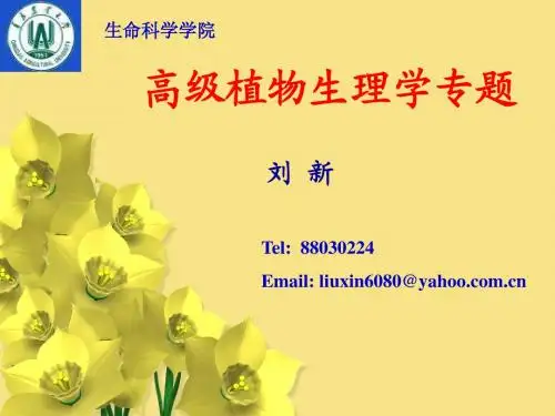植物体内的信号传导