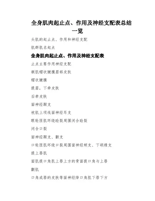 全身肌肉起止点、作用及神经支配表总结一览