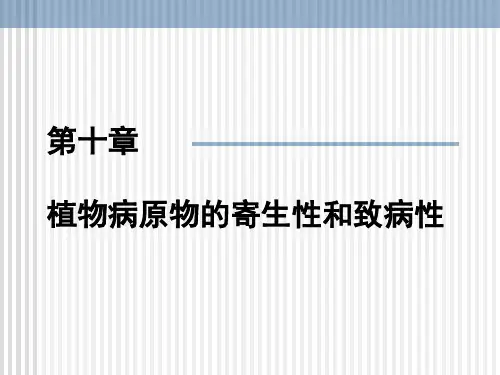 植物病原物的寄生性 (2)ppt课件