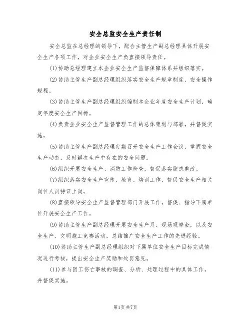 安全总监安全生产责任制（5篇）