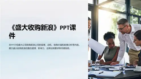《盛大收购新浪》课件