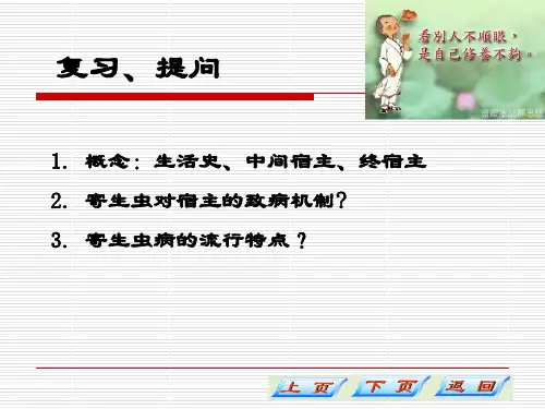 原虫概论溶组织内阿米巴