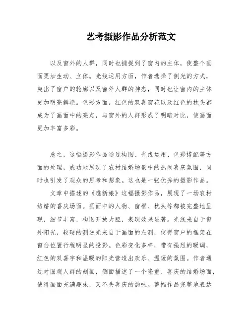 艺考摄影作品分析范文