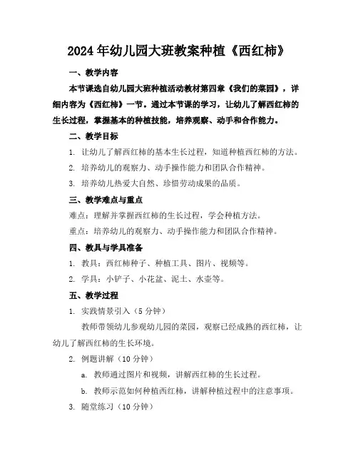 2024年幼儿园大班教案种植《西红柿》