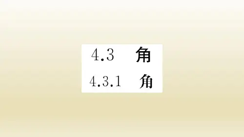 人教版数学七年级上册：4.3.1《角》习题课件(附答案)