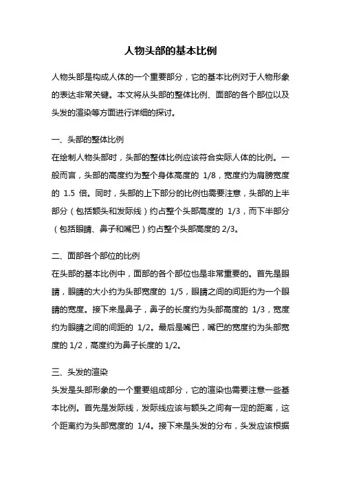 人物头部的基本比例