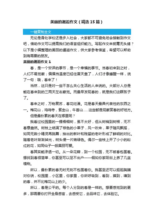 美丽的邂逅作文（精选15篇）