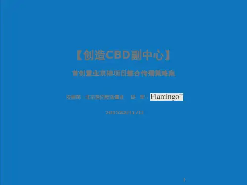 战略管理-红鹤沟通首创置业京棉项目整合传播策略广告案18238M 精品
