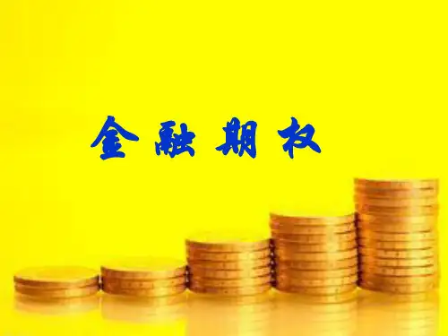 期权(课件)
