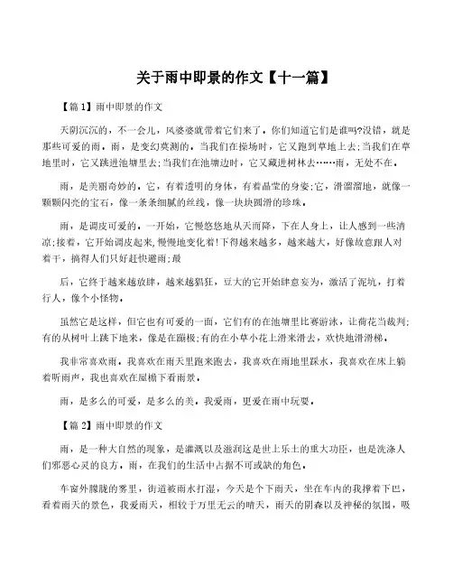 关于雨中即景的作文【十一篇】