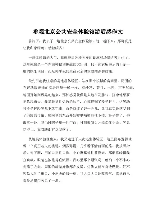 参观北京公共安全体验馆游后感作文