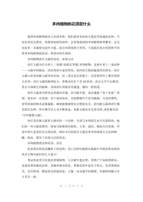 多肉植物的花语是什么