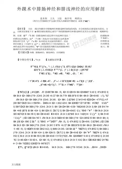 外踝术中腓肠神经和腓浅神经的应用解剖