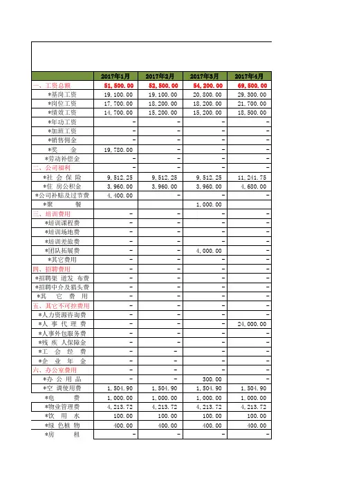 年度人力资源成本预算明细表