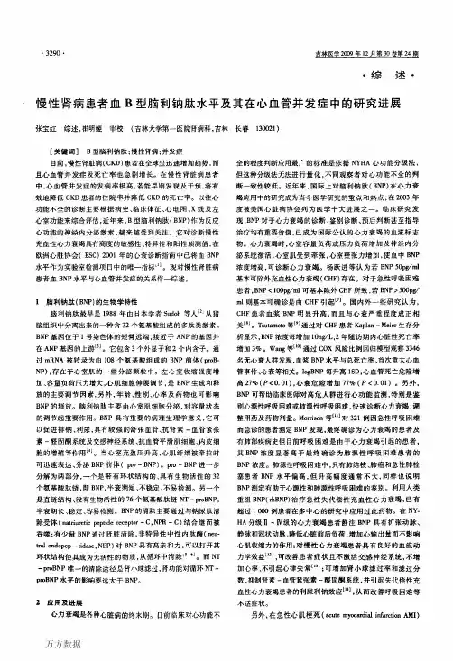 慢性肾病患者血B型脑利钠肽水平及其在心血管并发症中的研究进展