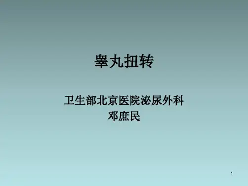 睾丸扭转PPT课件