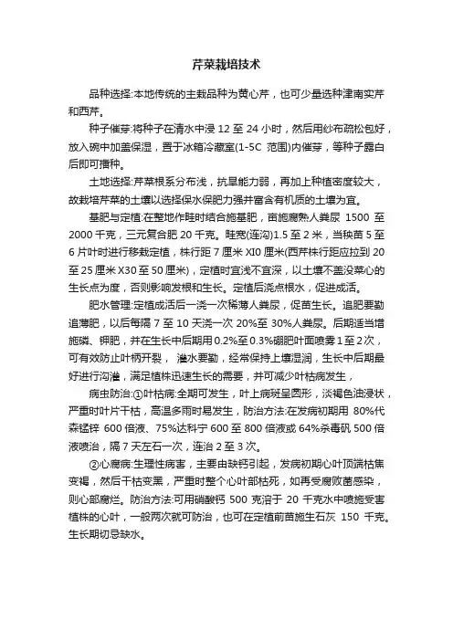 芹菜栽培技术