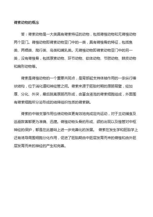 脊索动物的概念